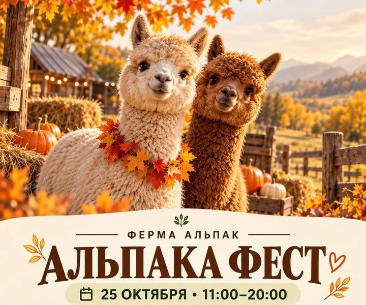 Постер: Денайро